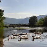 Vacation Pliva *