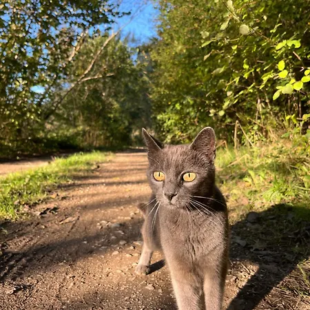 Nyaraló Vacation Pliva Šipovo