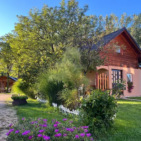 Vacation Pliva