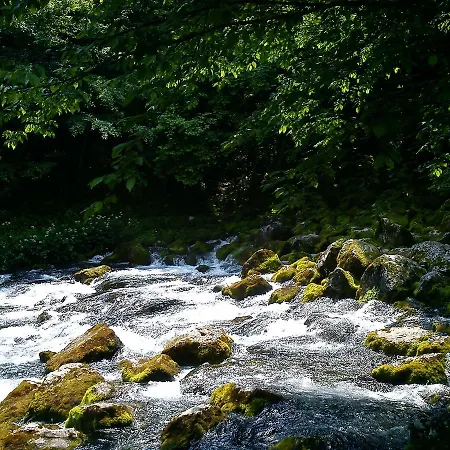 Nyaraló Vacation Pliva