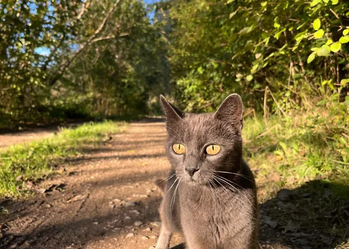 Dom wakacyjny Vacation Pliva Sipovo