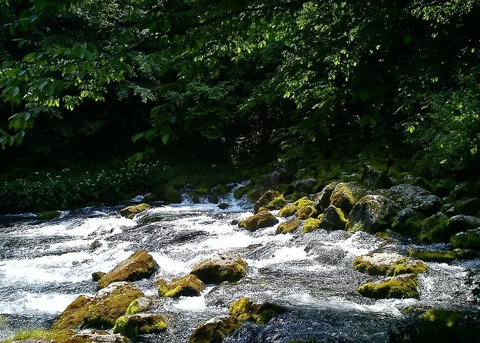 Dom wakacyjny Vacation Pliva